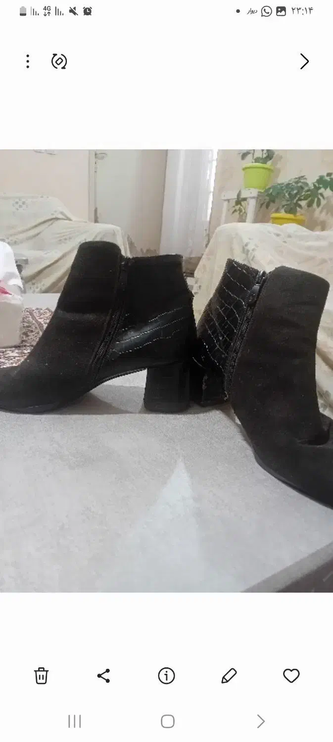 نیم بوت زنانه|کیف، کفش، کمربند|کرمان, |دیوار