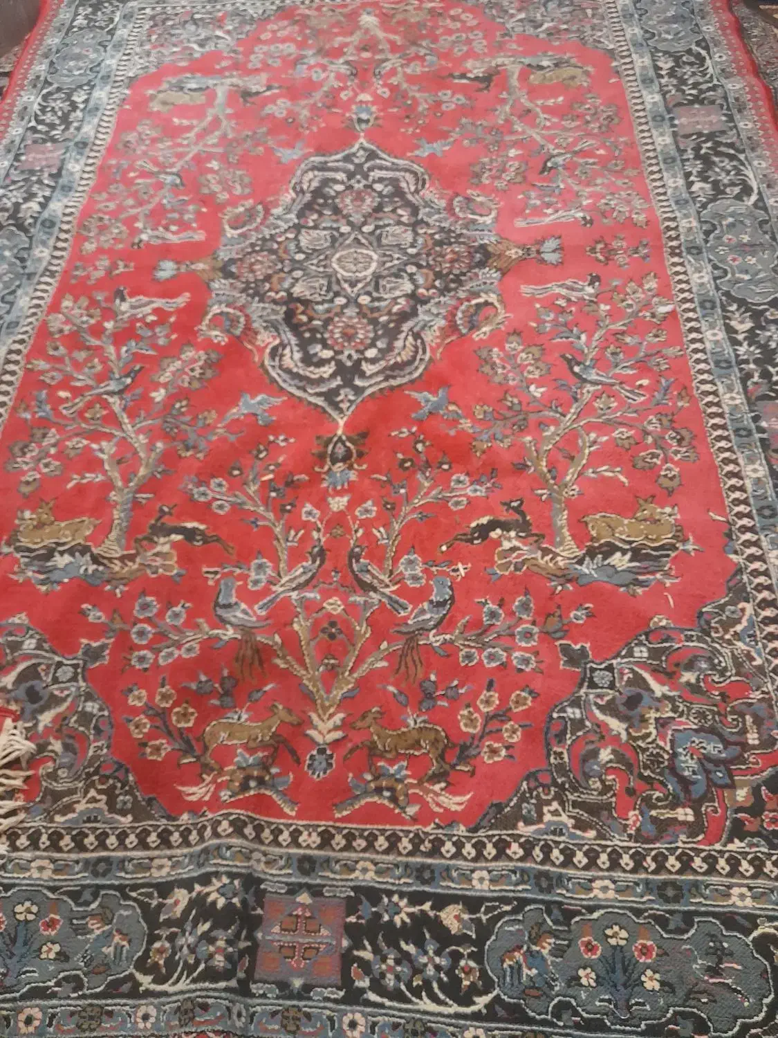 فرش۶متری کارکرده|فرش|همدان, |دیوار