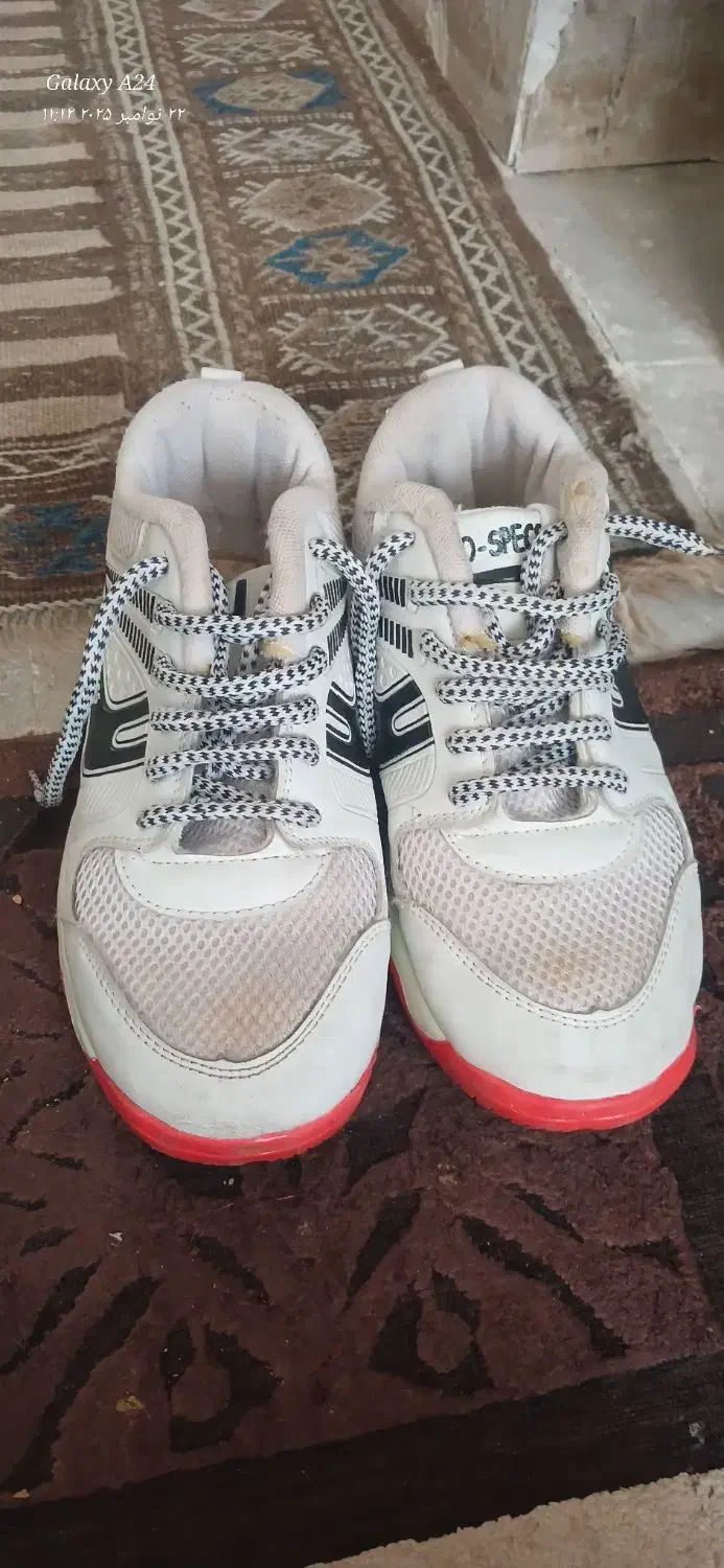 کفش و کتونی|کیف، کفش، کمربند|پرند, فاز ۲|دیوار