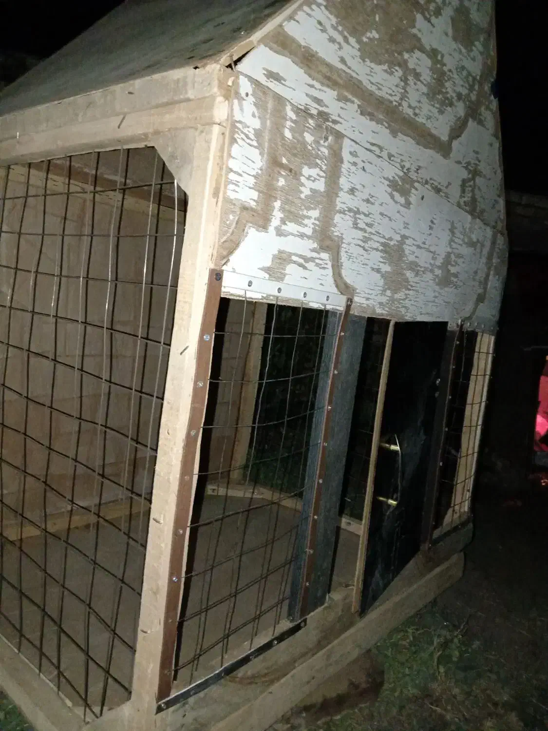 قفس پرنده فروش فوری|لوازم جانبی حیوانات|کوهین, |دیوار