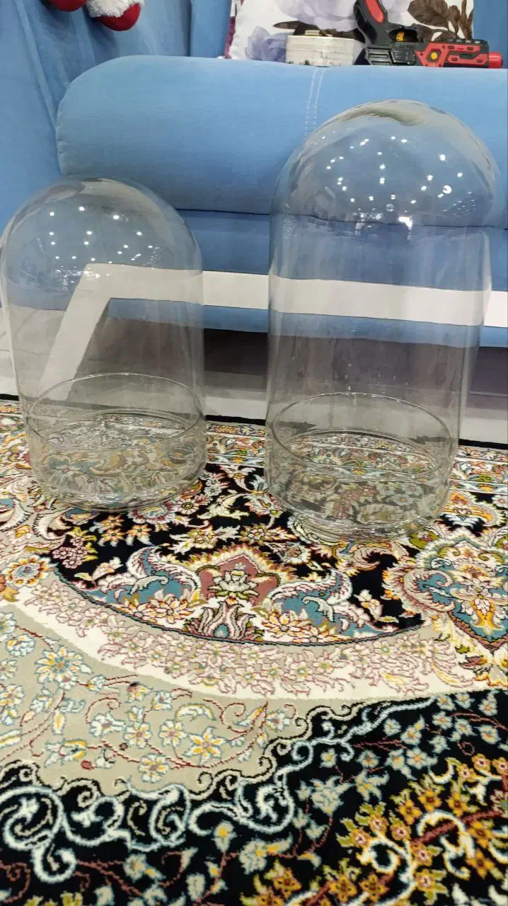 گلدان مخروطی شیشه ای|گل و گیاه طبیعی|تهران, مشیریه|دیوار