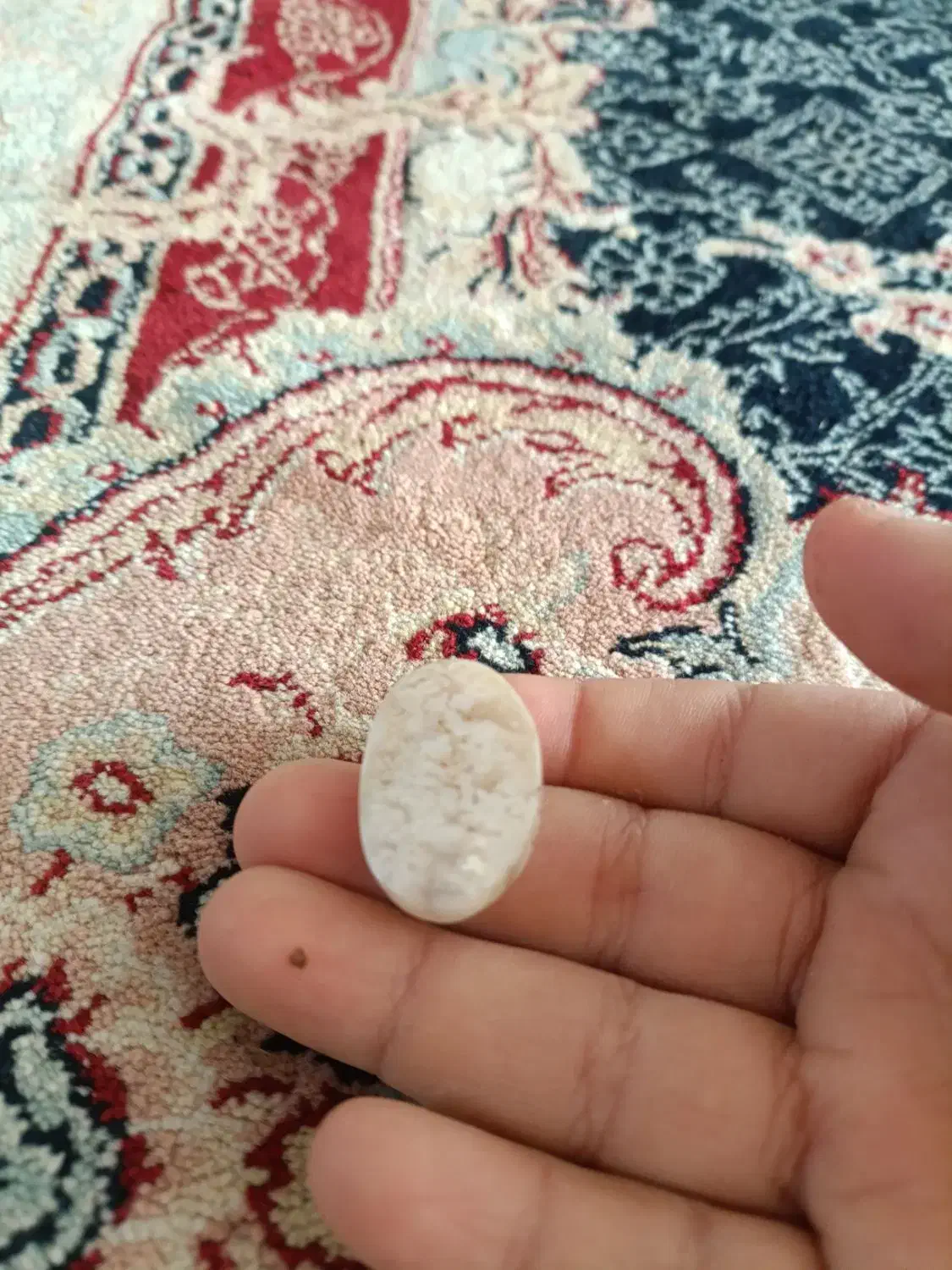 سنگ شجر کیفیت بالا|کلکسیون اشیاء عتیقه|بم, |دیوار