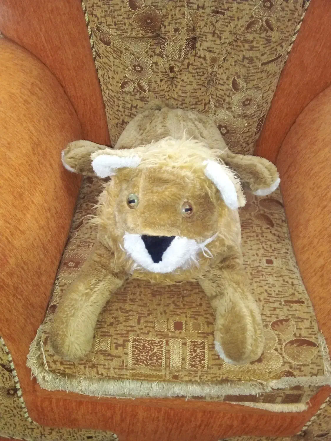 عروسک در حد نو با قیمت مناسب|اسباببازی|ارومیه, |دیوار