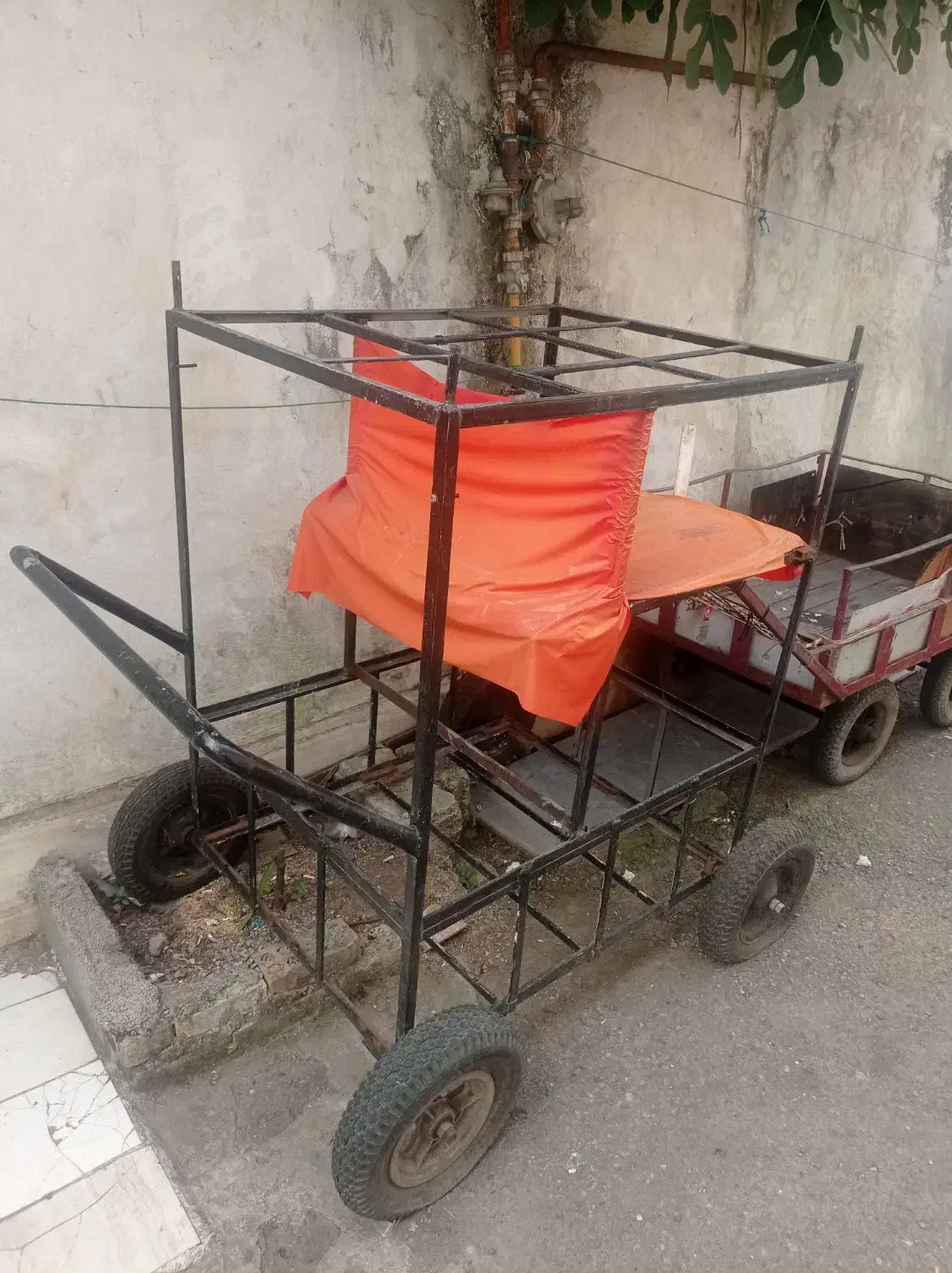 گاری کاملا سالم|کافی‌شاپ و رستوران|رشت, پارک شهر|دیوار