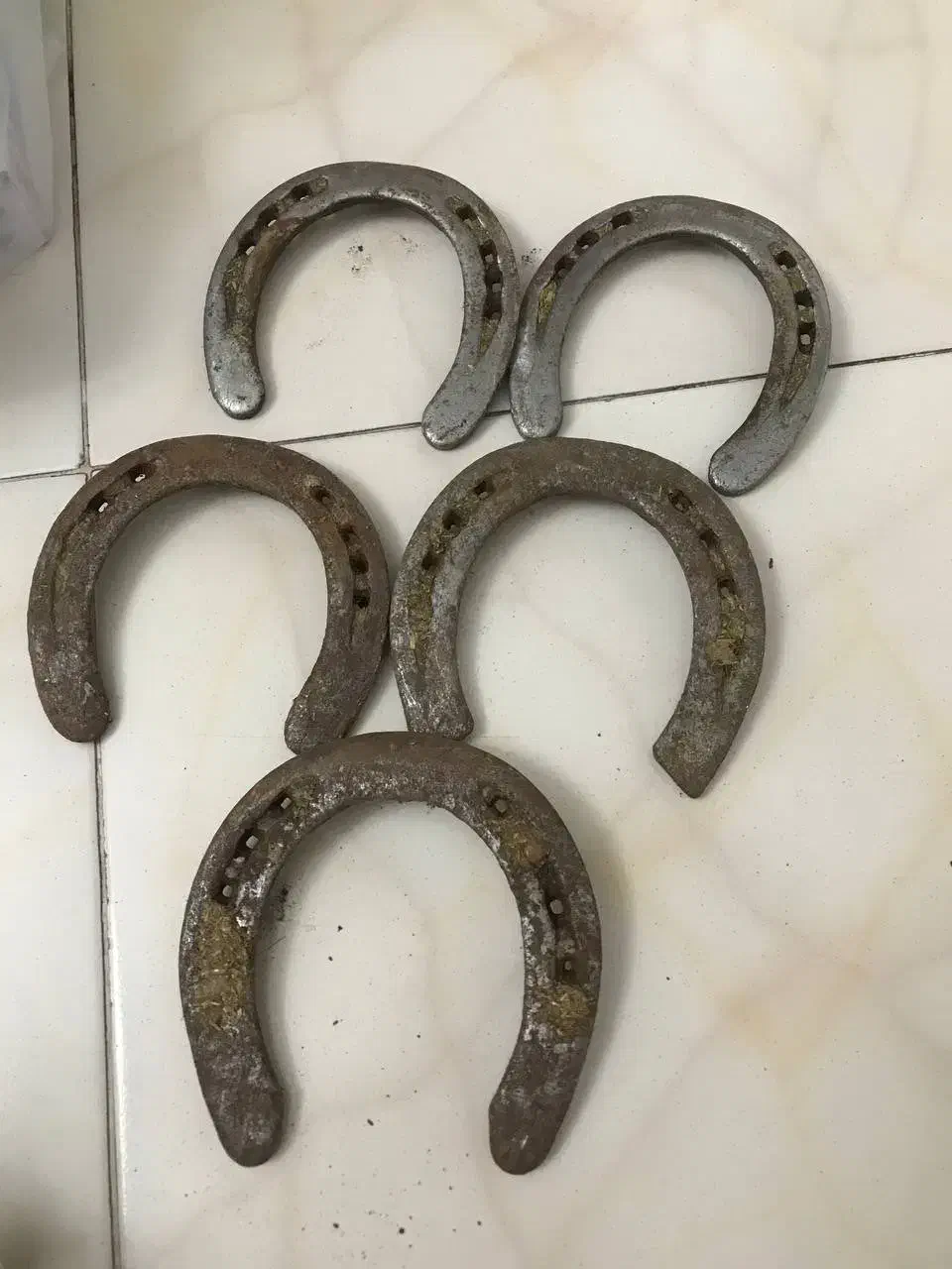 نعل اسب کارکرده|اسب و تجهیزات اسب‌سواری|محمدشهر, همایون ویلا|دیوار