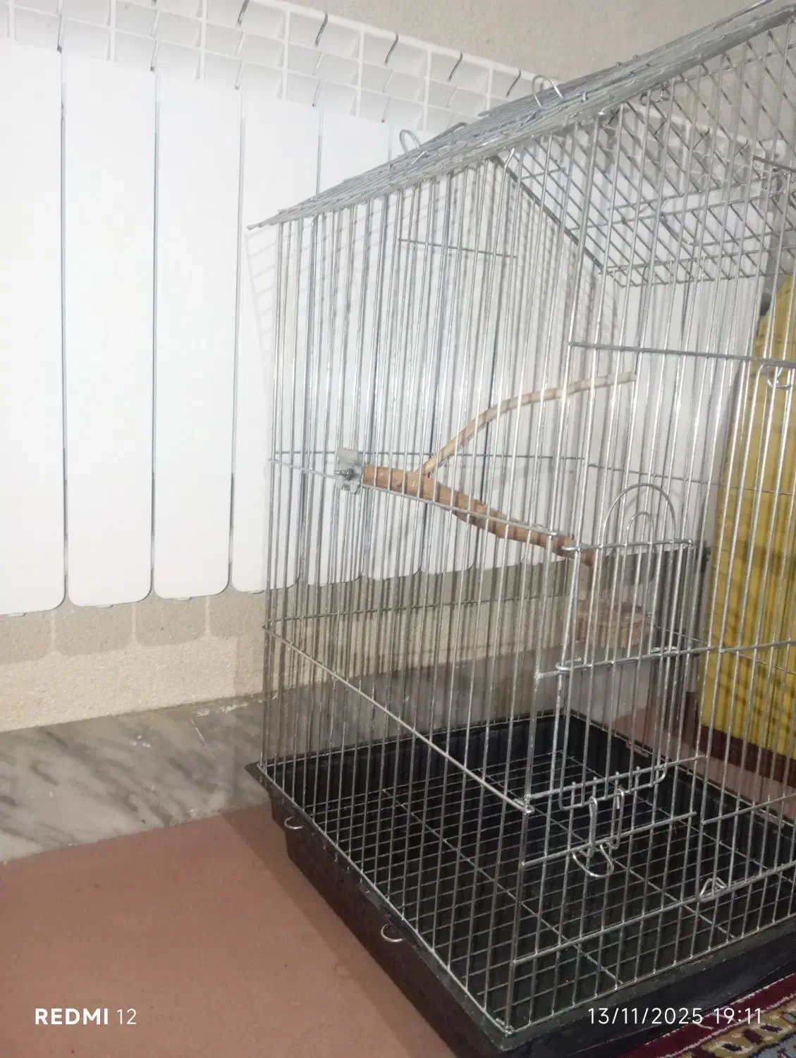 قفس  سالم|لوازم جانبی حیوانات|اصفهان, سرچشمه|دیوار