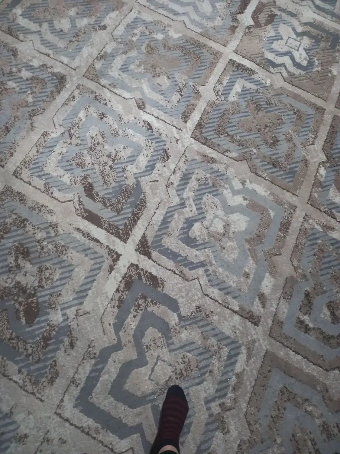 فرش ومبل وتختخواب|فرش|رشت, توشیبا|دیوار