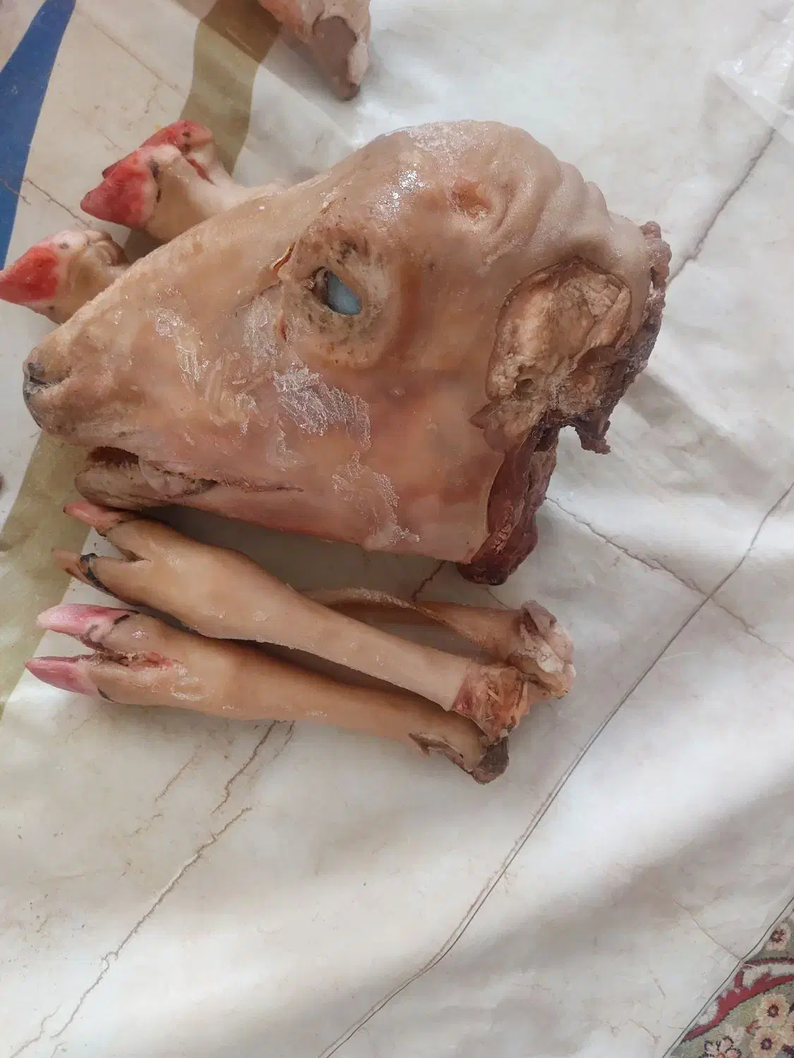 کله پاچه میش|خوردنی و آشامیدنی|شیروان (خراسان), |دیوار