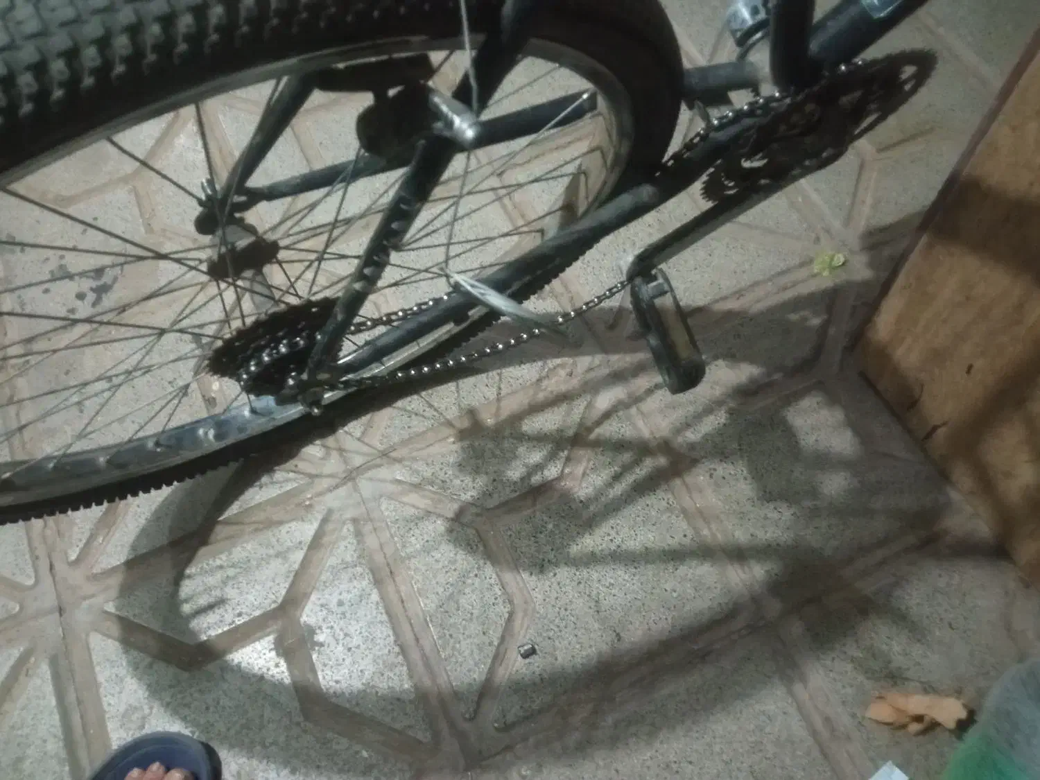 دوچرخه 26|دوچرخه، اسکیت، اسکوتر|تربت جام, حافظ|دیوار