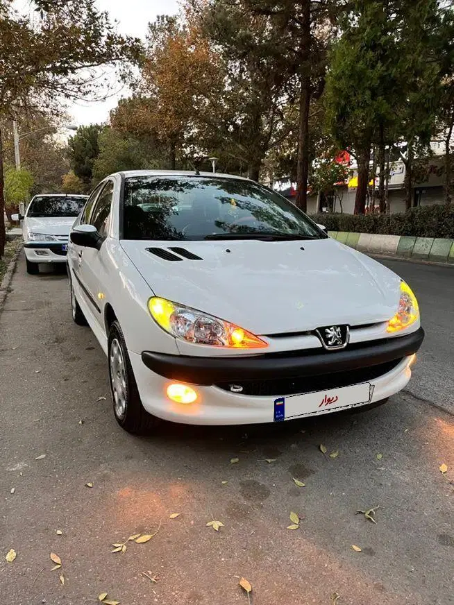 206 SD V8 TU5|خودرو سواری و وانت|شاهرود, |دیوار