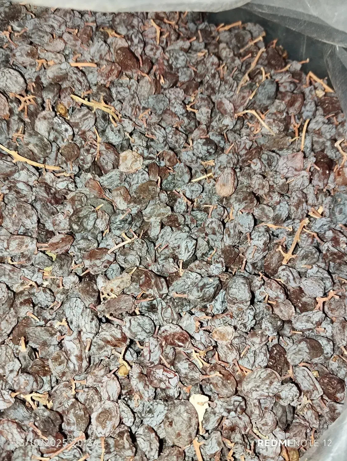 کشمش آفتابی ارگانیک|خوردنی و آشامیدنی|صائین قلعه, |دیوار