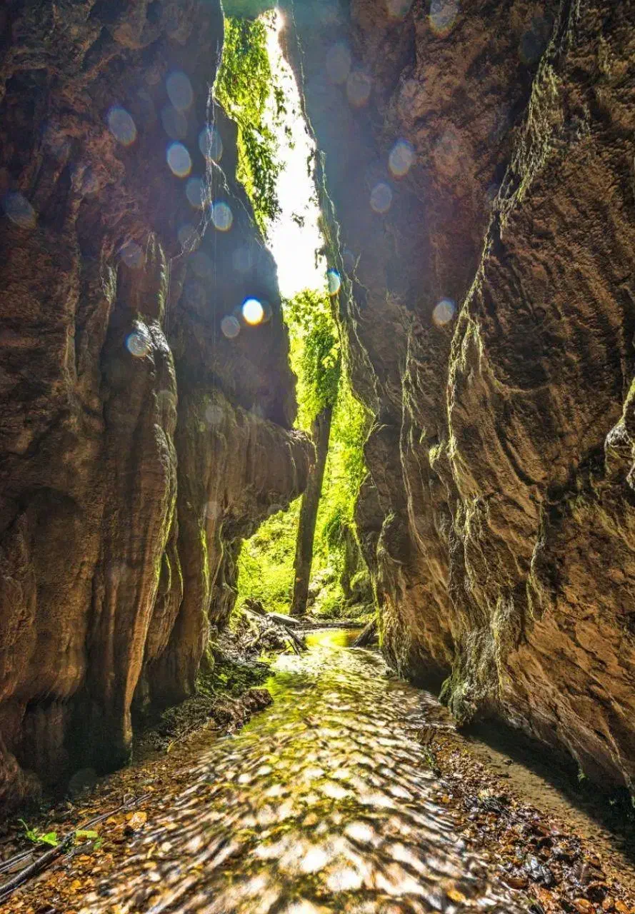 گروه طبیعت گردی|رویداد ورزشی|کرج, گوهردشت|دیوار