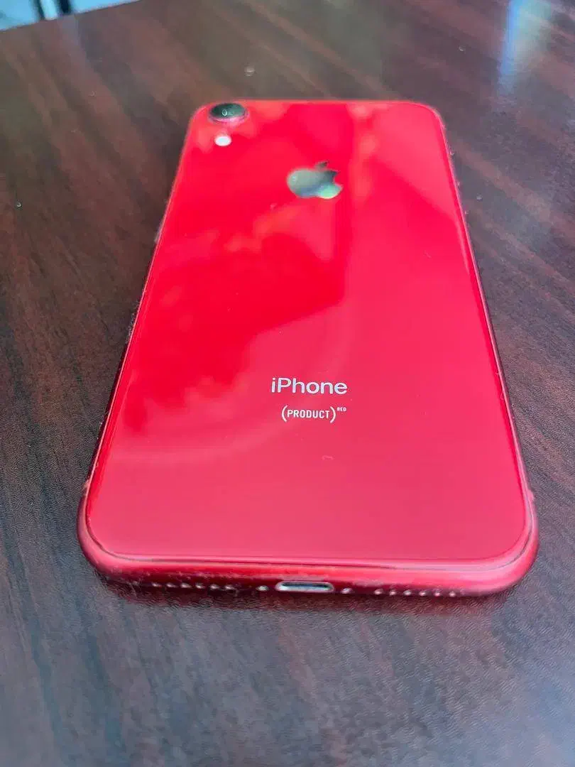 موبایل آیفون XR تک سیم 64 گیگ|موبایل|شیراز, زرگری|دیوار