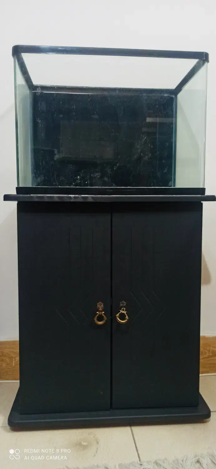 آکواریوم|ماهی|فولادشهر, C5|دیوار