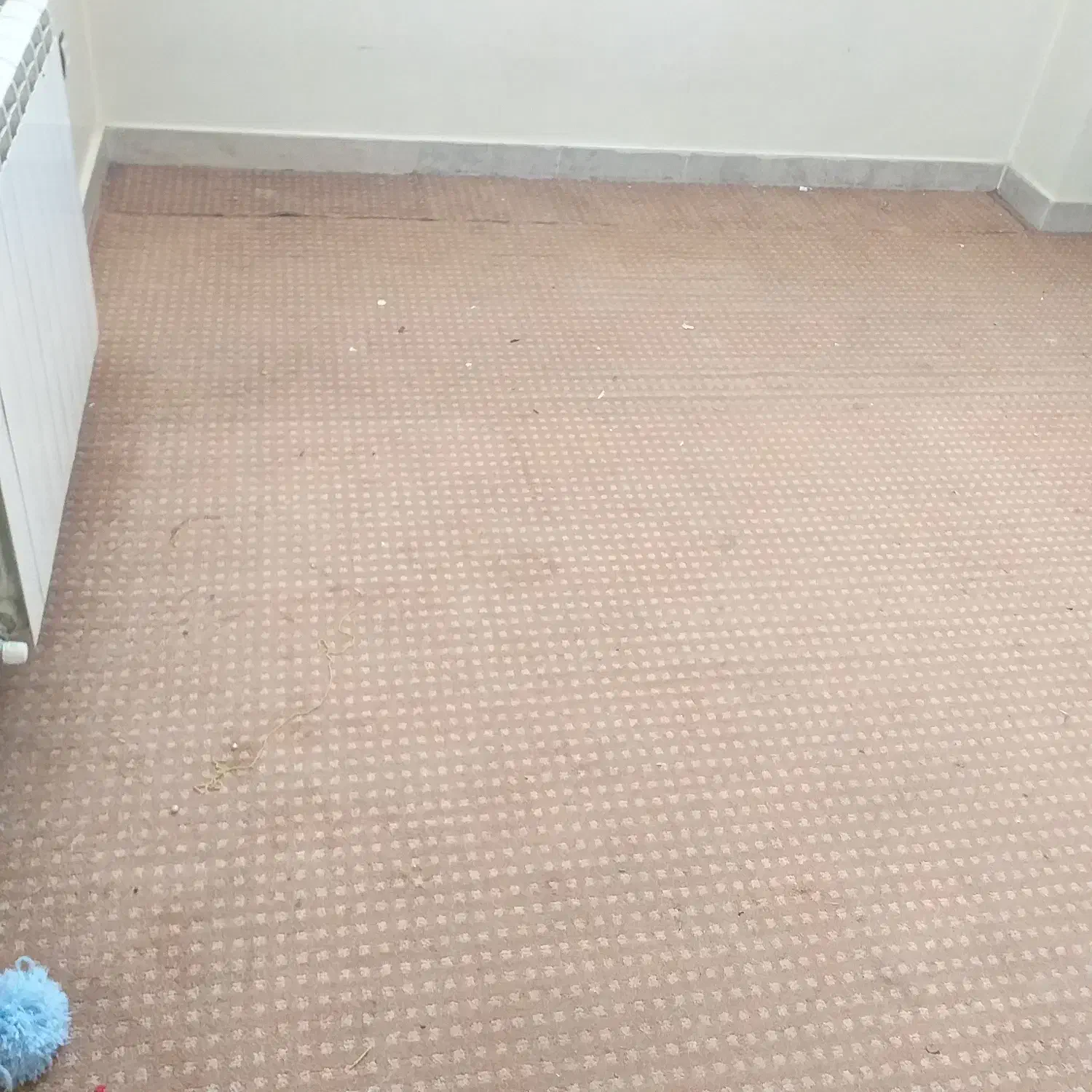 حدود ۲۲متر موکت کارکرده|موکت|اصفهان, امامزاده اسماعیل|دیوار