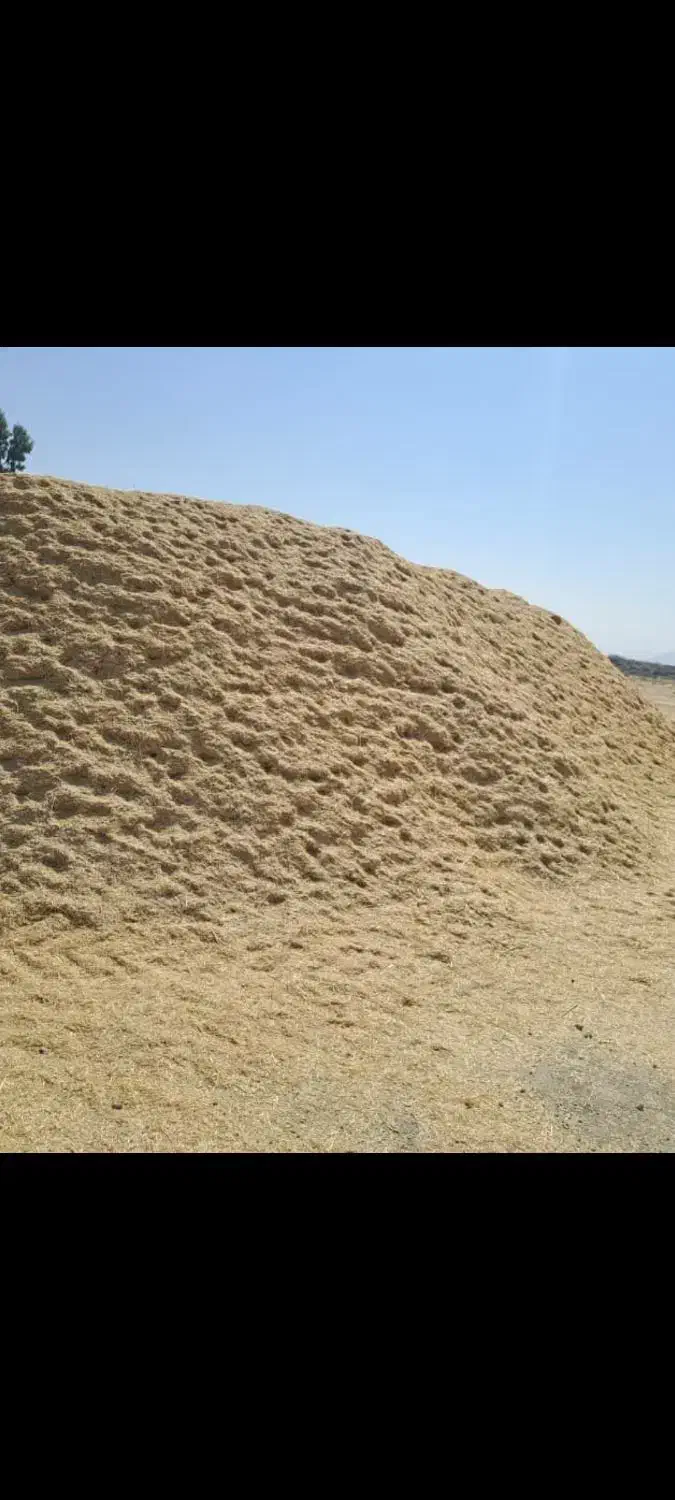 کاه گندم|خدمات باغبانی و درختکاری|مرودشت, ثبت احوال|دیوار