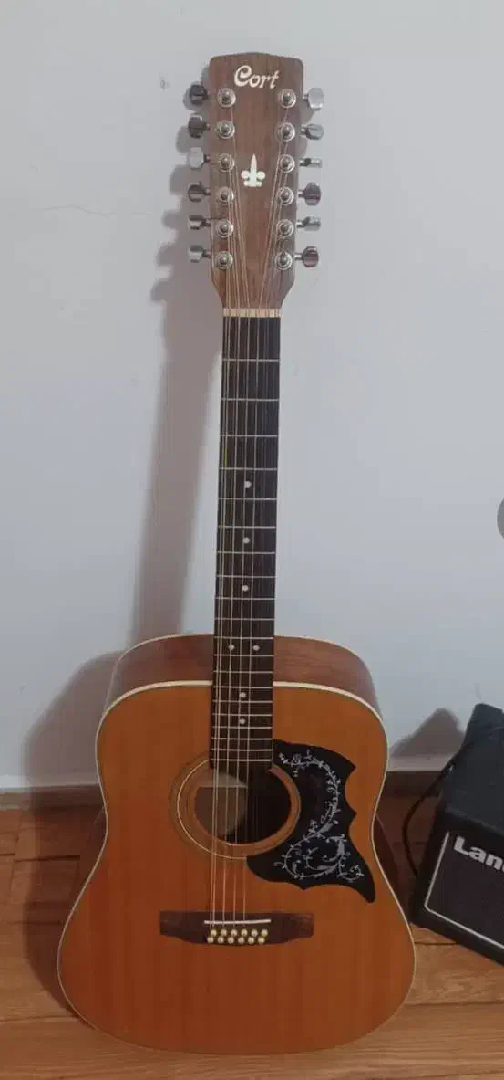 گیتار 12 سیم zinn & cort|گیتار، بیس، امپلیفایر|تهران, اکباتان|دیوار