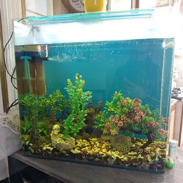 اکواریوم ب قیمت حرااج|ماهی|نهاوند, |دیوار