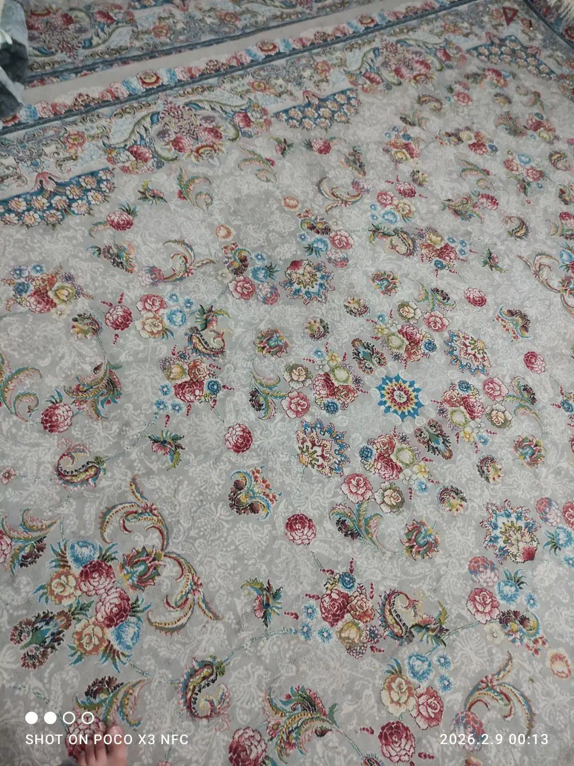 قالی۱۲متری|فرش|کرمانشاه, |دیوار