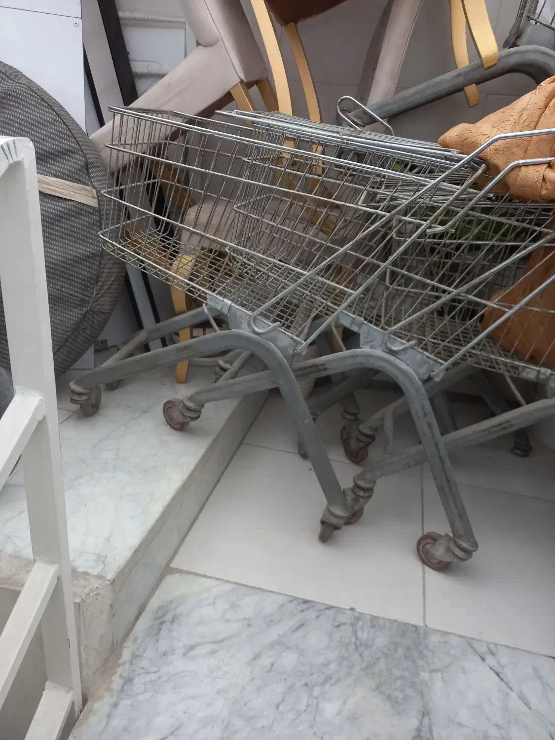 سبد فروشگاهی|فروشگاه و مغازه|مرودشت, ژیان|دیوار