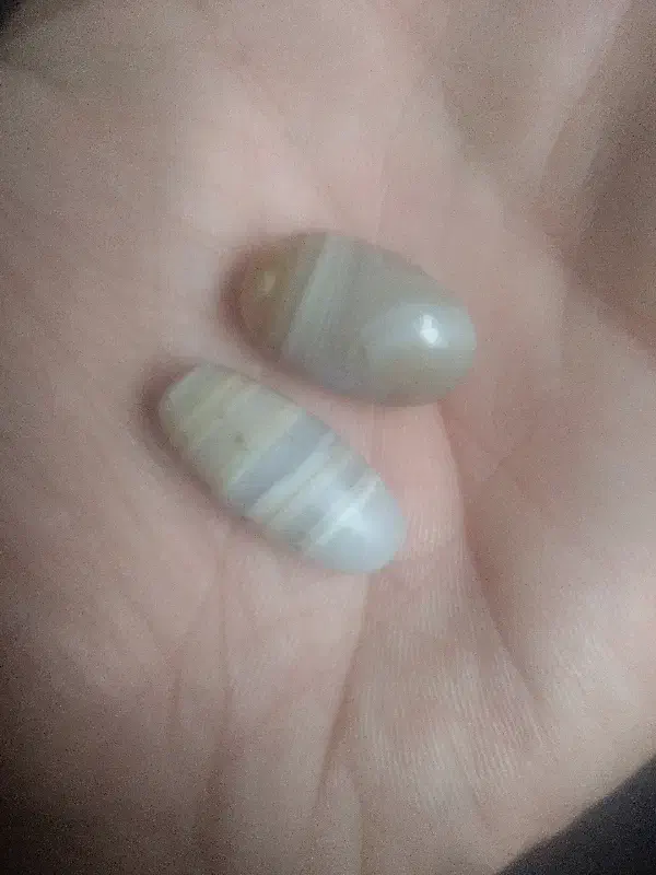 مهره اصلی|بدلیجات|بندر ماهشهر, |دیوار