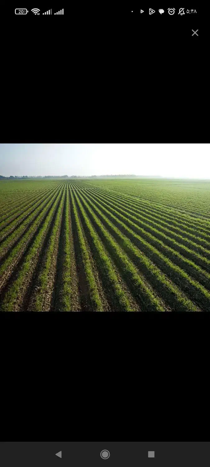 زمین کشاورزی|فروش دفتر صنعتی، کشاورزی، تجاری|شوش, |دیوار