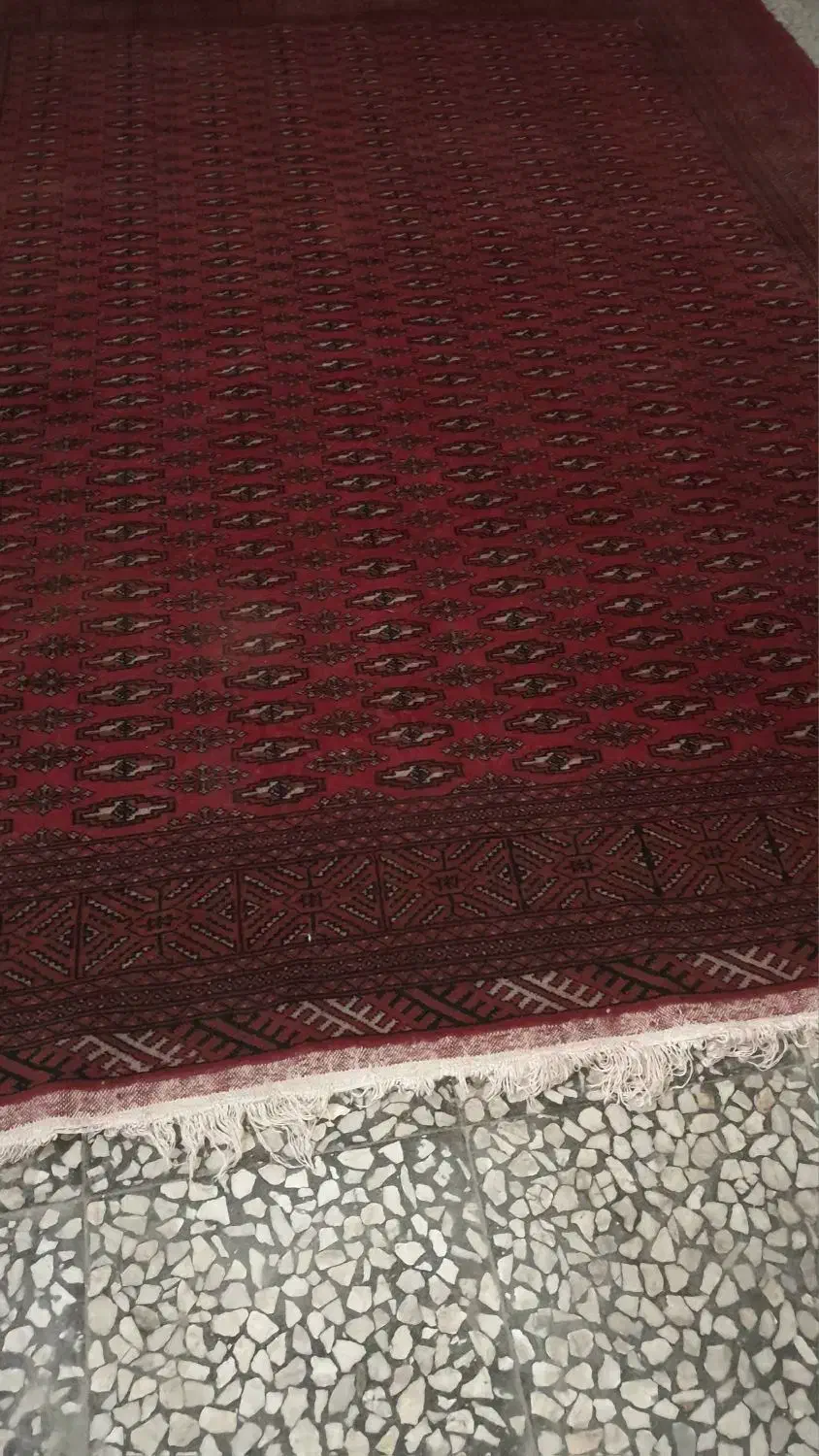 فروش یک عدد فرش دست بافت ترکمن|فرش|گرگان, |دیوار