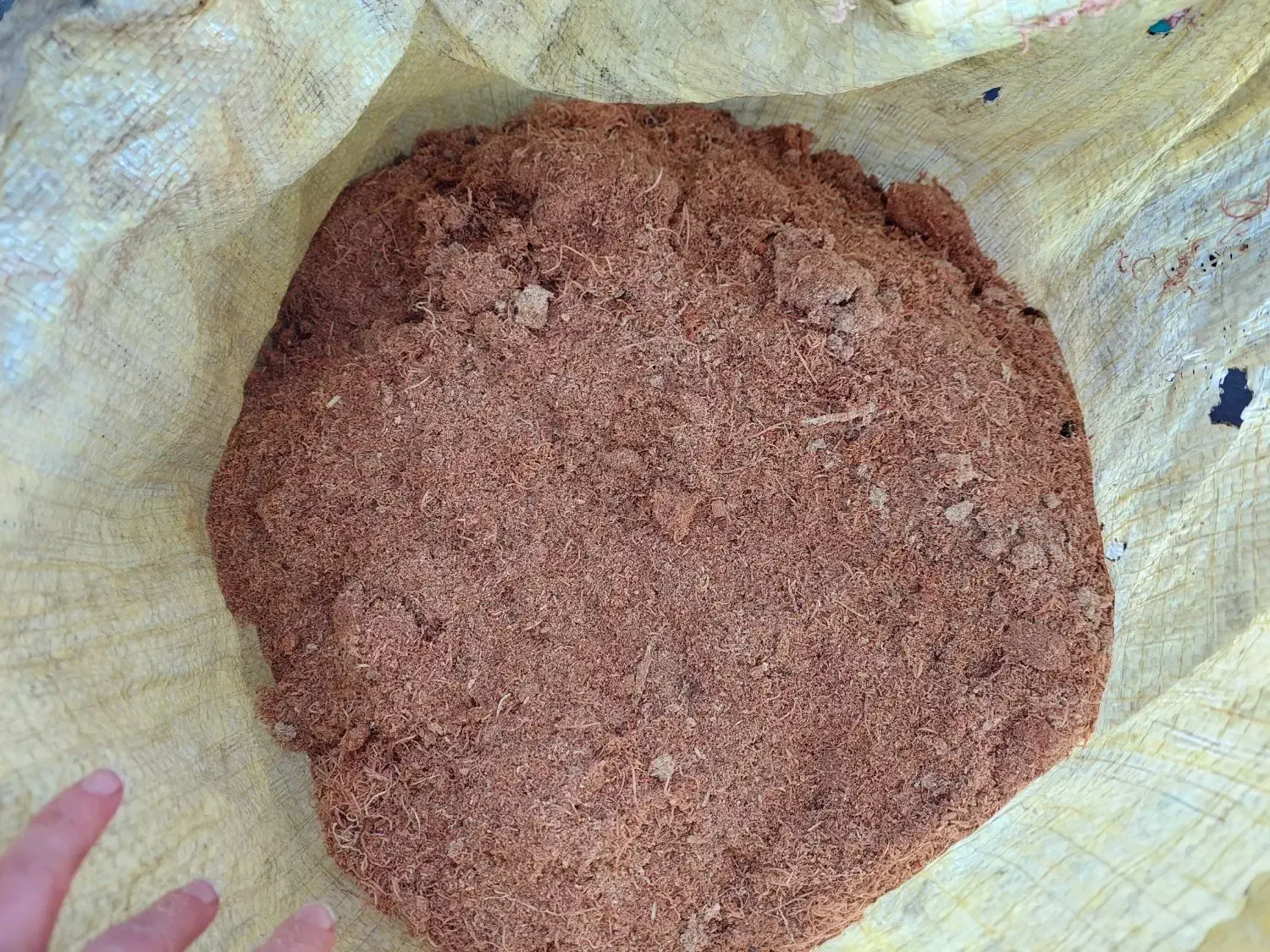 خاک اره باغی|عمده‌فروشی|خوش‌رودپی, |دیوار