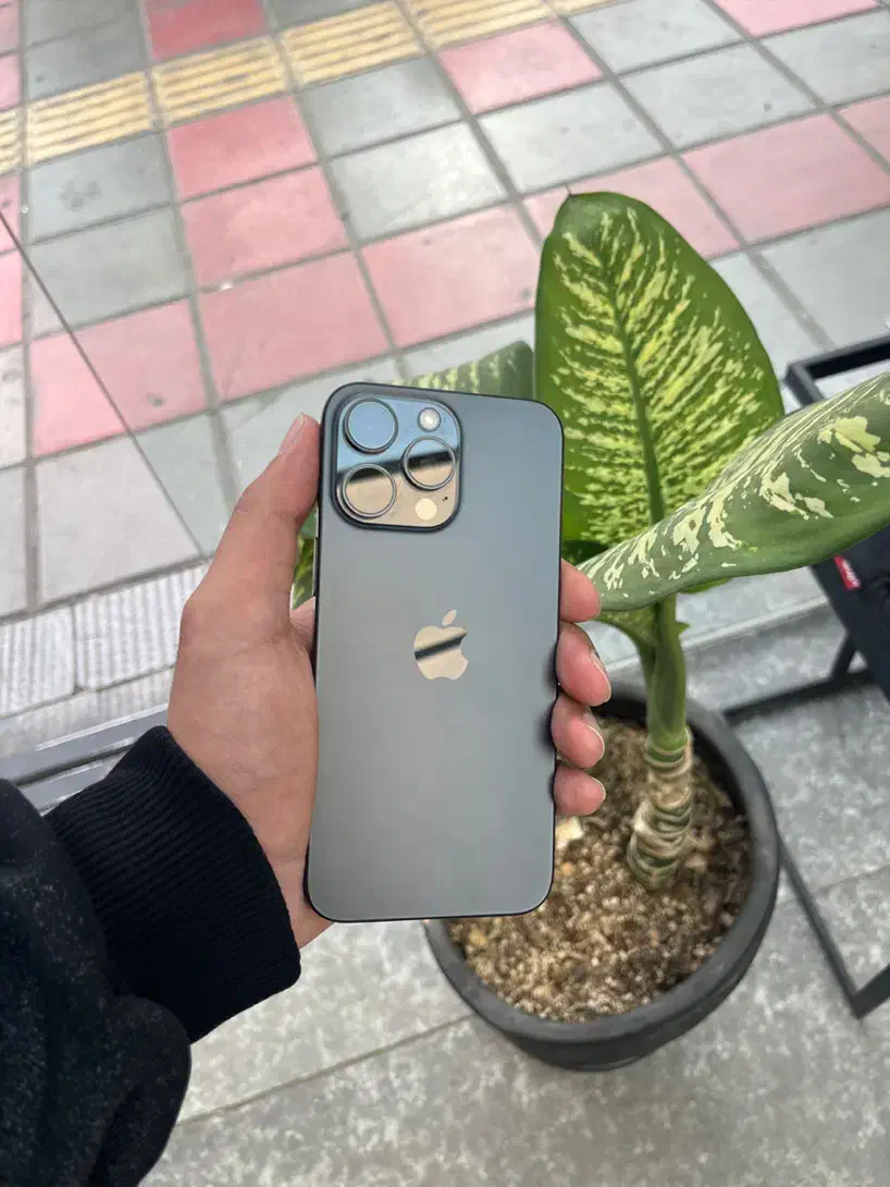 iPhone 15 pro max 256G Zaa|موبایل|قم, جهان بینی|دیوار