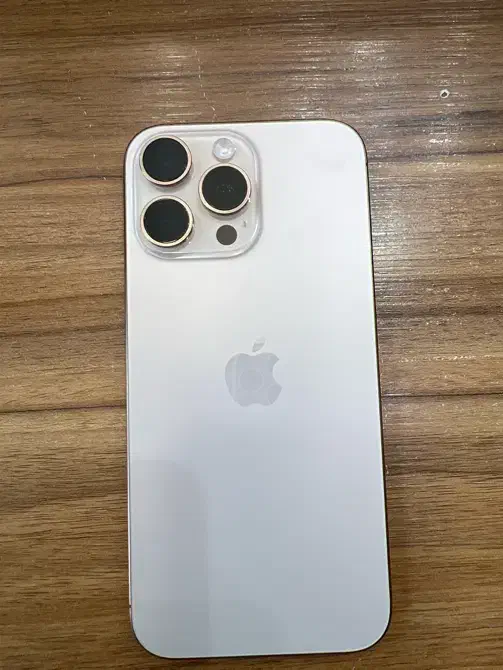 16 promax 256 zaa|موبایل|زاهدان, |دیوار