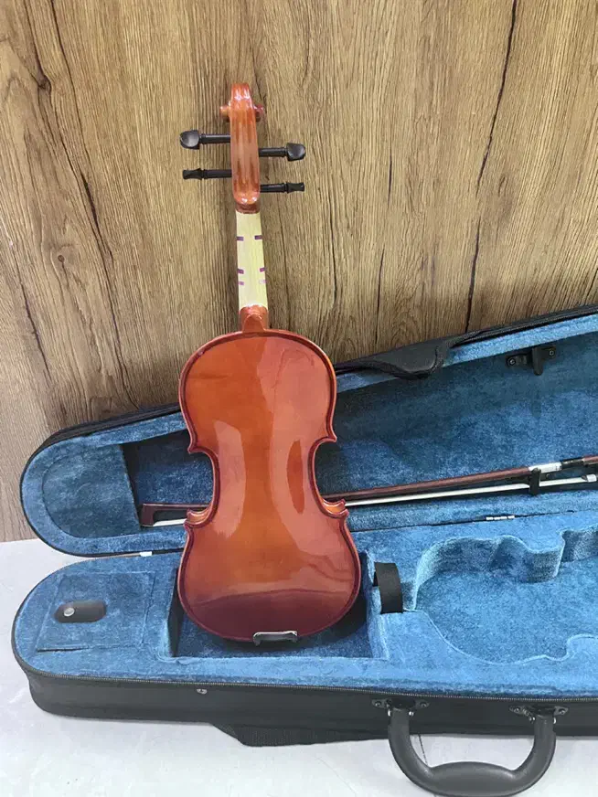 ویولن TF 142|ویولن|بندرعباس, |دیوار