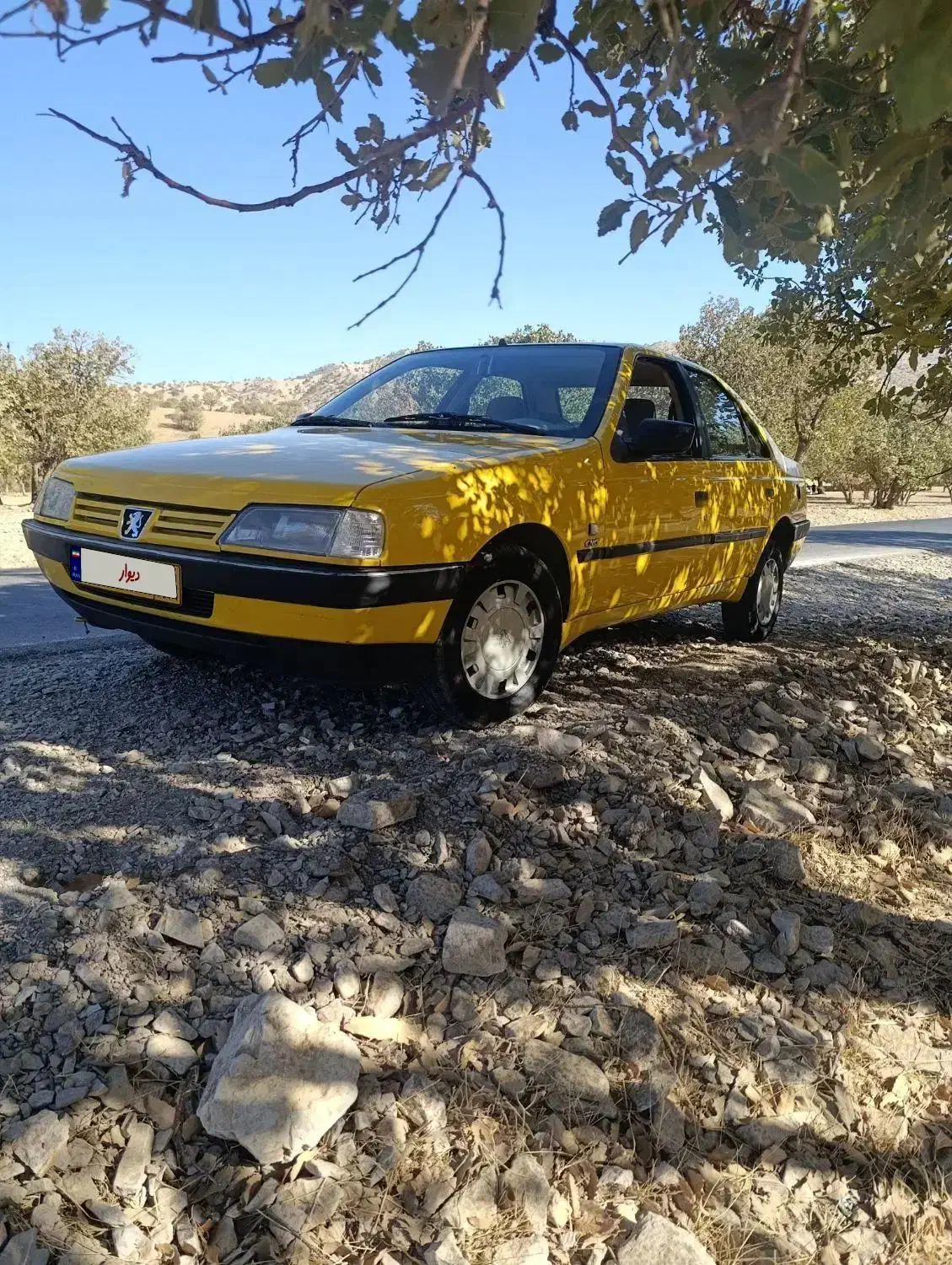 پژو ۴۰۵ تمیز|خودرو سواری و وانت|ایلام, |دیوار
