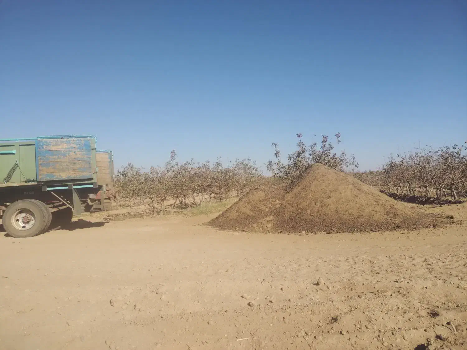 کود گوسفندی درجه یک یک|خدمات باغبانی و درختکاری|سیرجان, |دیوار