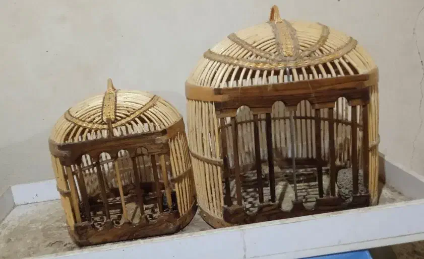 قفس|لوازم جانبی حیوانات|سرپل ذهاب, |دیوار