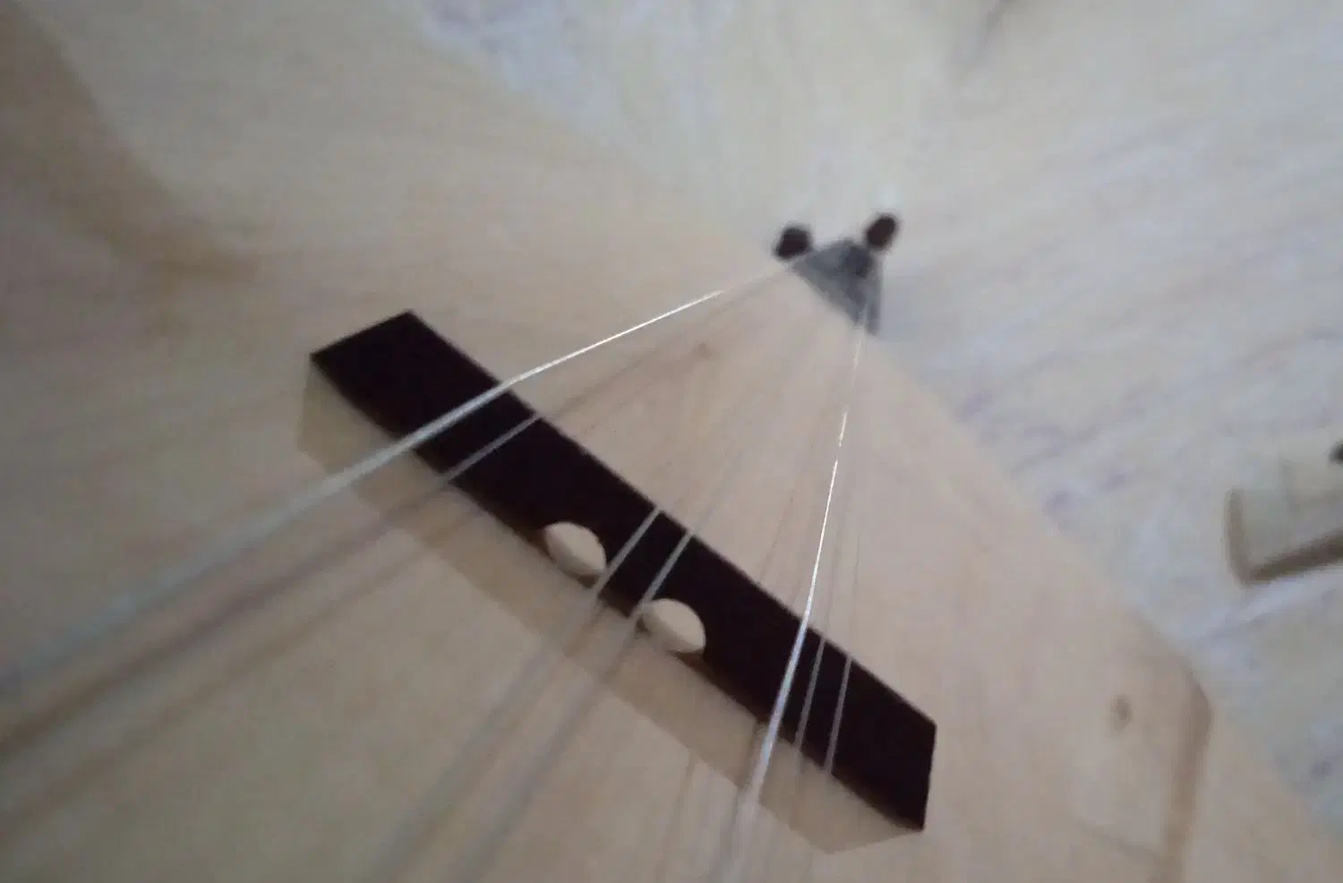 ساز دیوان حرفه ای|سازهای سنتی|سنندج, |دیوار