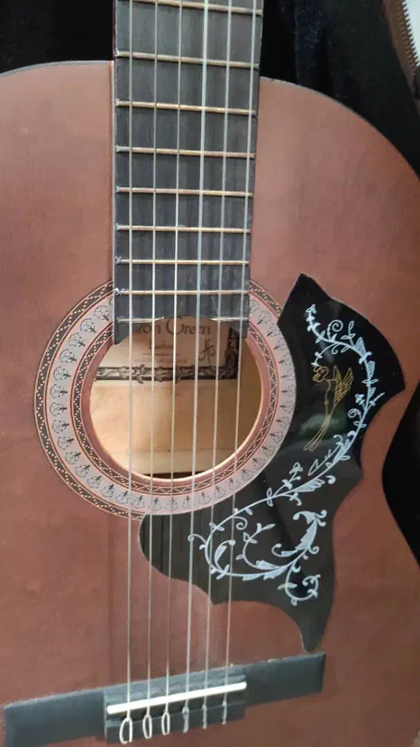 گیتار|گیتار، بیس، امپلیفایر|رشت, نظری|دیوار