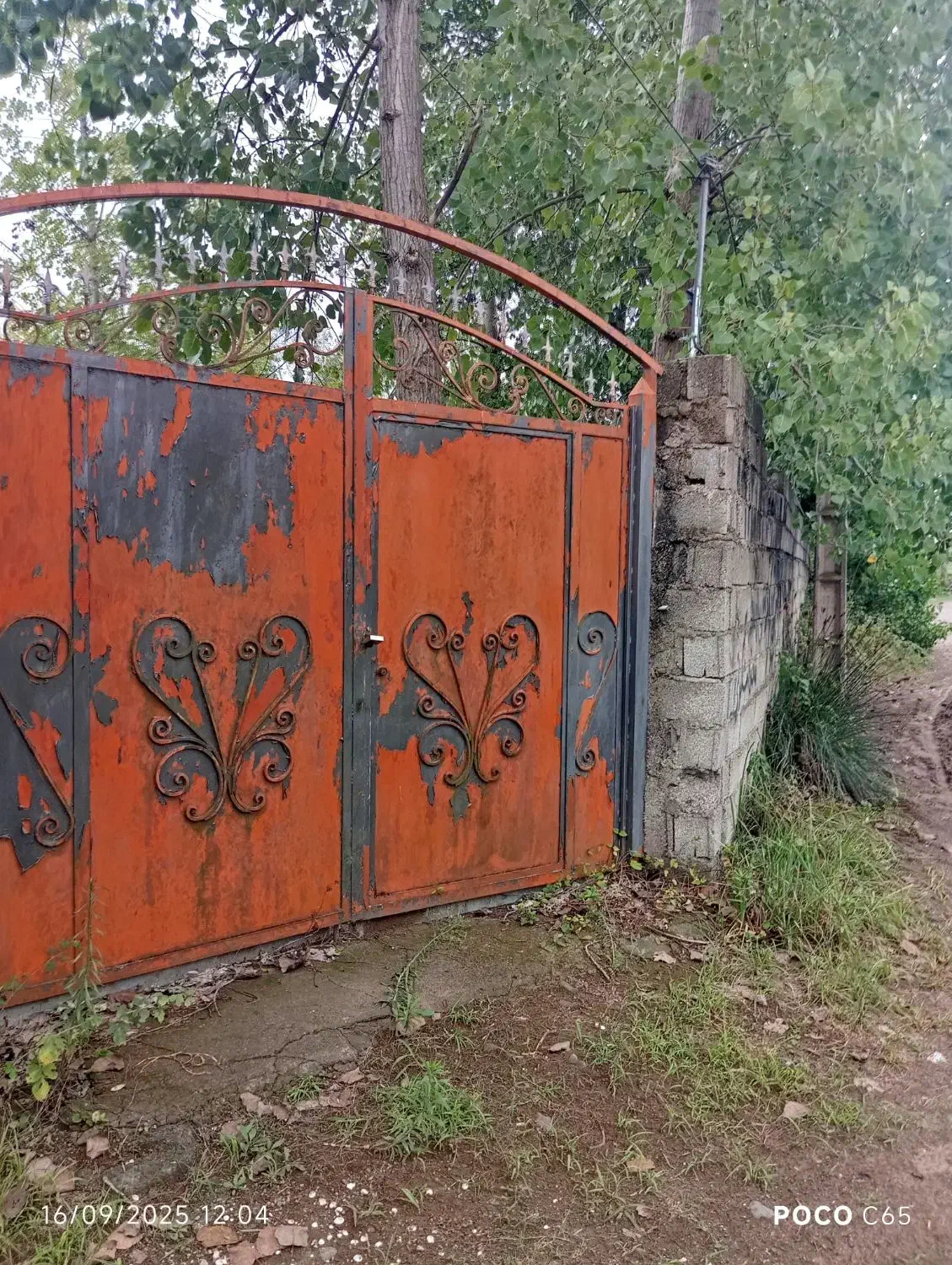 فروش زمین سند تک برگ قواره دو ساحل چمخاله|فروش زمین و ملک کلنگی|چاف و چمخاله, |دیوار