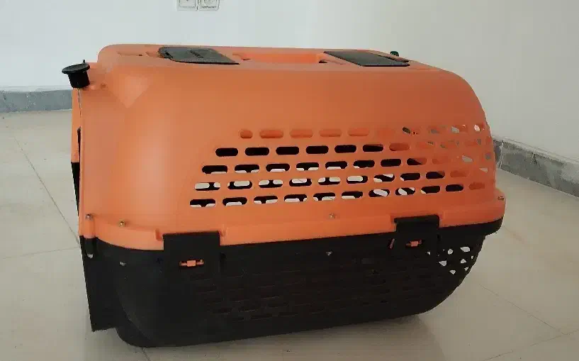 جابه جایی سگ و گربه|لوازم جانبی حیوانات|محمدشهر, ولدآباد|دیوار