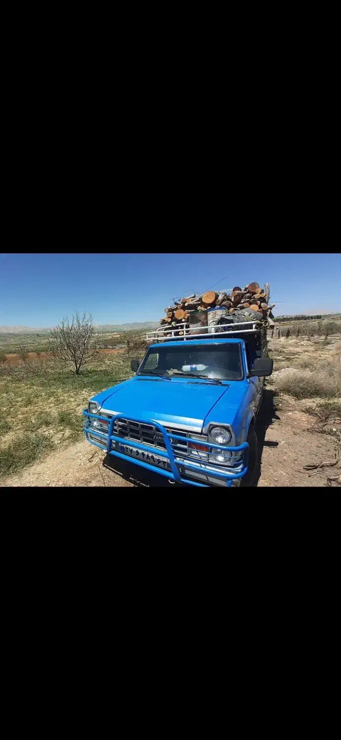 برش و حرس درخت|خدمات باغبانی و درختکاری|شیراز, شریفآباد|دیوار