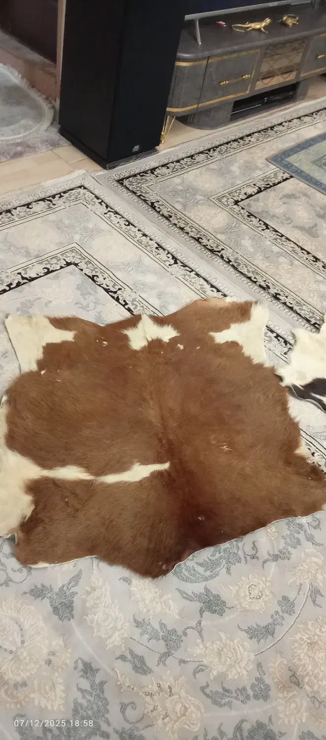 پوست تزیینی|صنایع دستی و سایر لوازم تزئینی|قرچک, میرزائی جنوبی|دیوار