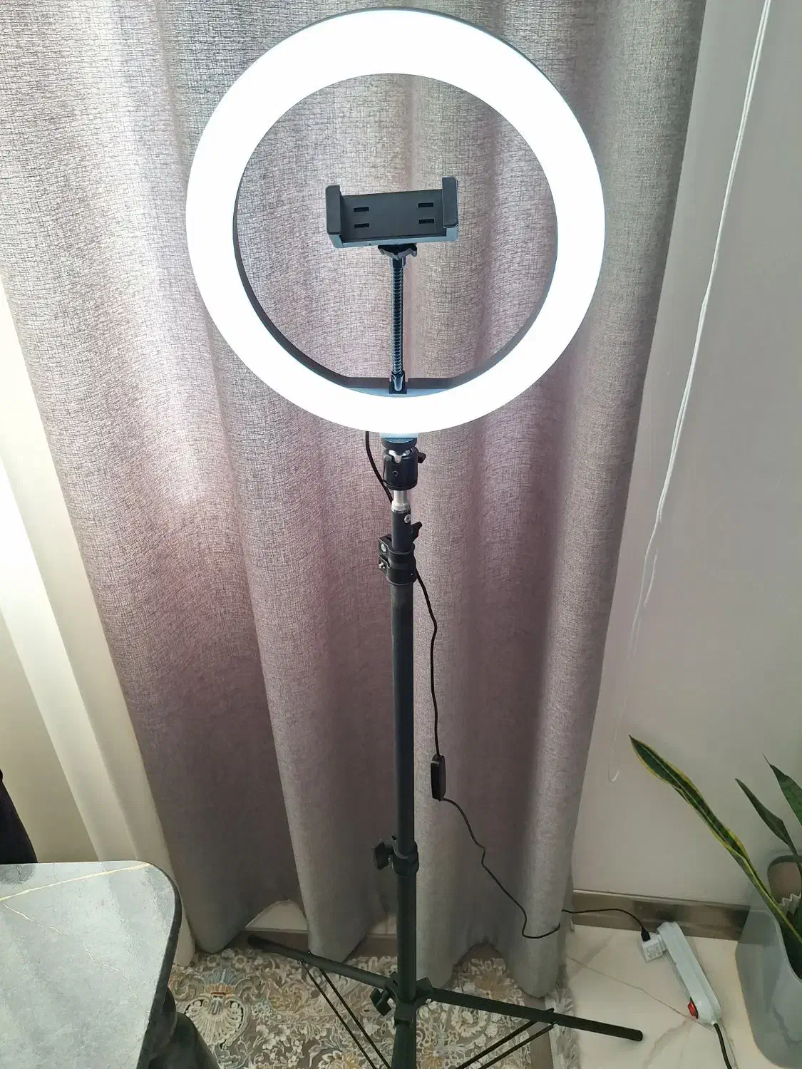 رینگلایت به همراه پایه دونیم متری|دوربین عکاسی و فیلم‌برداری|شهریار, شهریار|دیوار