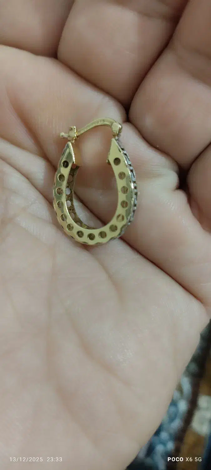 یک لنگه گوشواره گم کردیم به یابنده مژدگانی میدهیم|اشیا|قروه, |دیوار