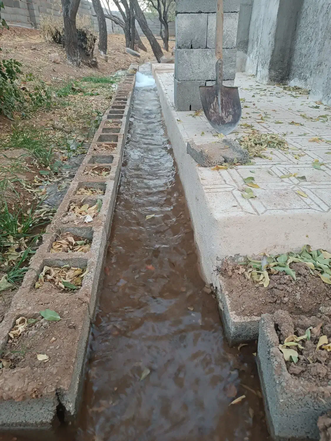 باغ بهمن|فروش زمین و ملک کلنگی|بهمن صغاد, |دیوار