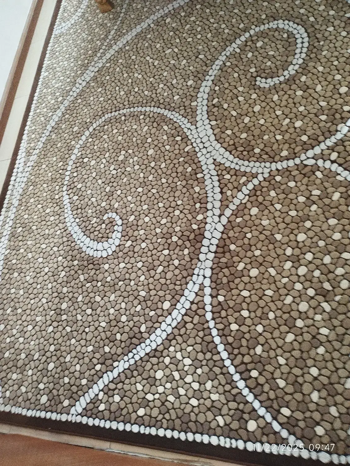 فرش شش متری|فرش|رشت, گلسار|دیوار