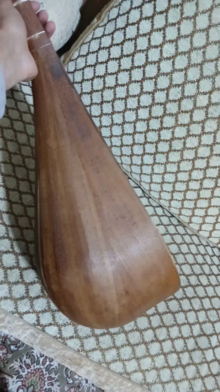 دوتار|سازهای سنتی|تربت جام, المهدی|دیوار