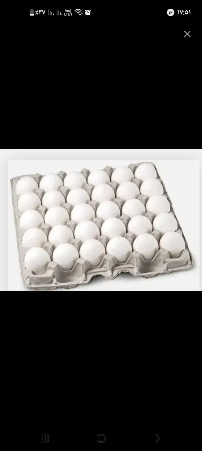 تخم مرغ فقط ۱۵۰|خوردنی و آشامیدنی|مراغه, |دیوار