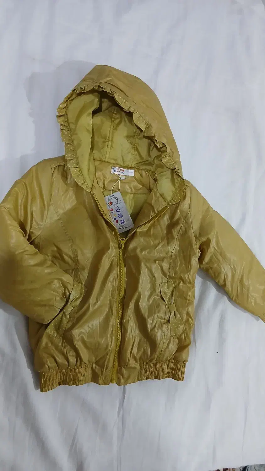 کاپشن نو|لباس|شاهرود, |دیوار