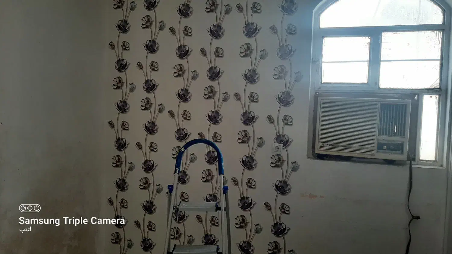 نصاب انواع کاغذ دیواری و پوستر و برچسب و کفپوش|خدمات پیشه و مهارت|بوشهر, |دیوار