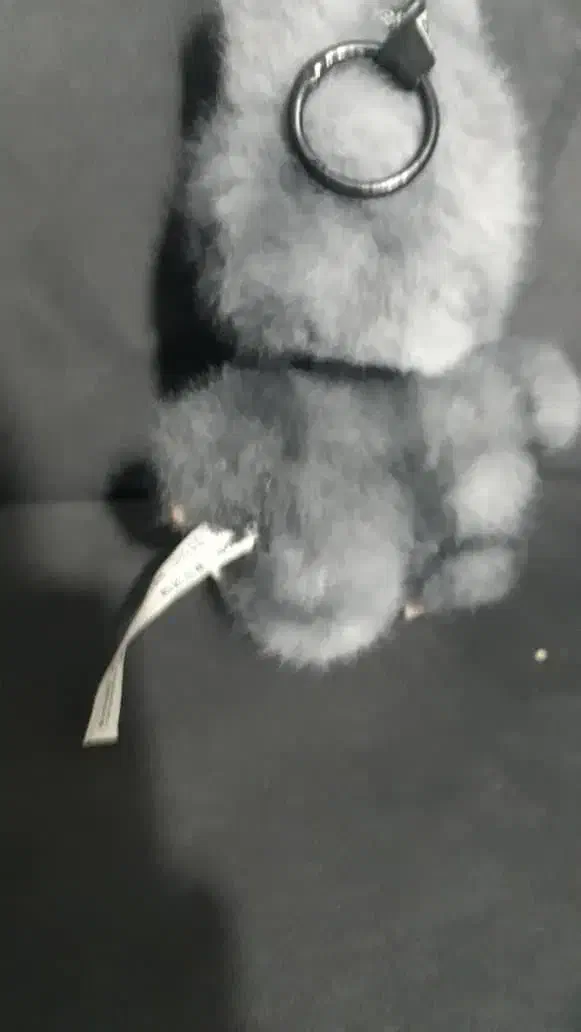 لبوبو رنگ اصل|اسباب‌‌بازی|یاسوج, |دیوار