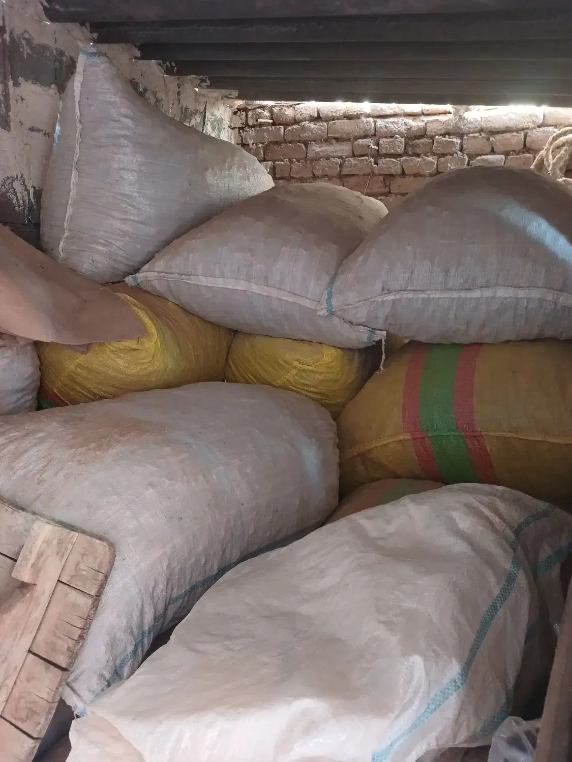 فلفل تند خوشک هستش کسی خواست درختمتم|عمده‌فروشی|لیلان, |دیوار